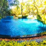 Property thumbnail 19