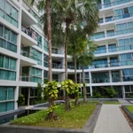 Property thumbnail 19