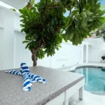 Property thumbnail 23