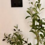 Property thumbnail 28