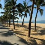 Property thumbnail 28