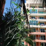 Property thumbnail 29