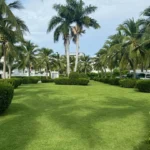 Property thumbnail 35