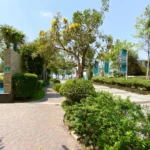 Property thumbnail 38