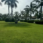 Property thumbnail 51