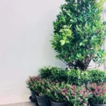 Property thumbnail 7