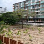Property thumbnail 9