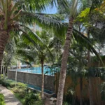 Property thumbnail 22