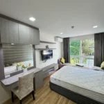 Property thumbnail 30