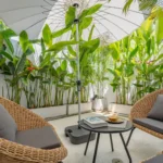 Property thumbnail 24